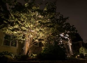 LED Lighting