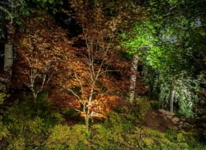 LED Outdoor Lighting