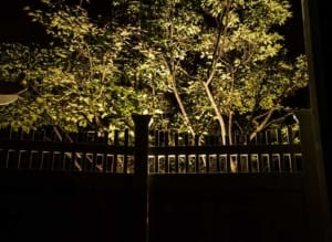 LED Outdoor Lighting