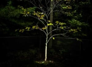 LED Outdoor Lighting